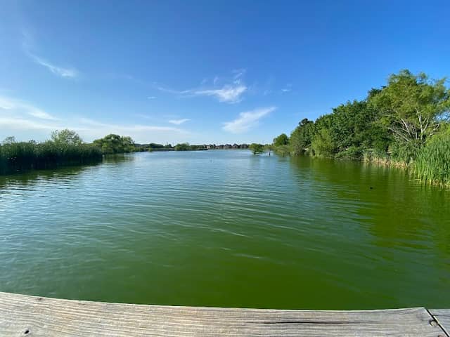 Crest View Lake Bridge - Image 1