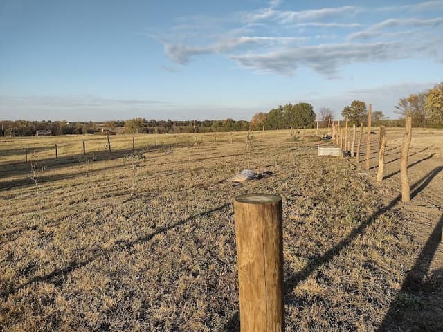 Hollow Tree Farm - Image 1
