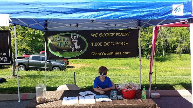 Clear Your Mines - Image 2