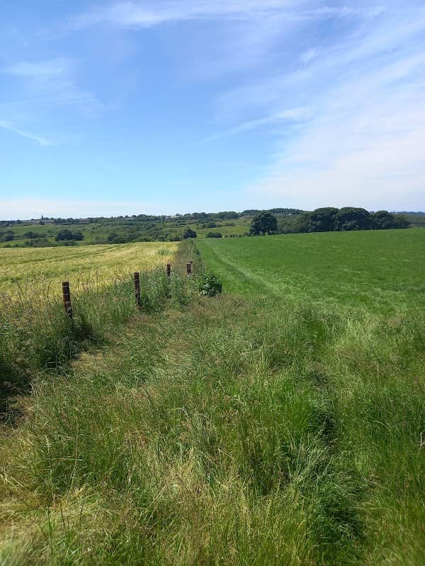 Path to birchen wood and kidsgrove - Image 1