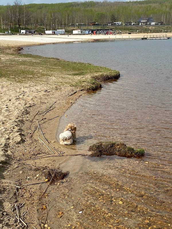 Hundestrand an der Blauen Lagune - Image 1