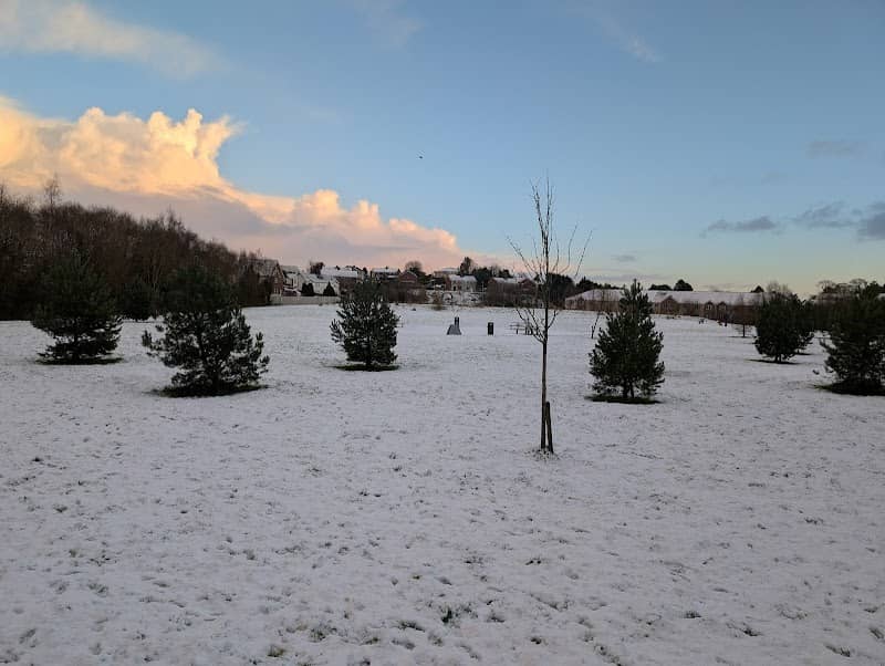 St Julian's Park - Image 2