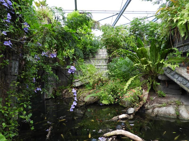Vlindertempel - Image 2
