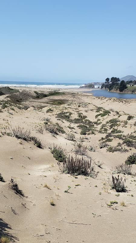 Inglenook Fen & 10 Miles Dune - Image 1