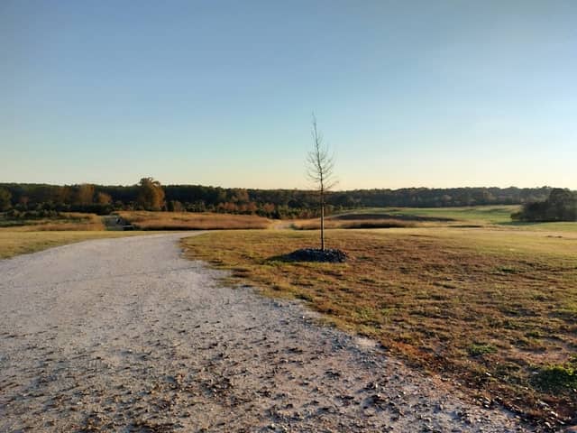 Nash Farm Battlefield - Image 1