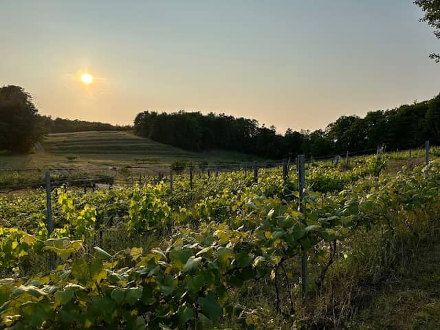 Green Bird Organic Cellars & Farm - Image 1