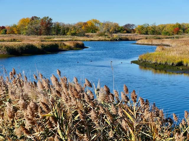 Brookfield Park - Image 1