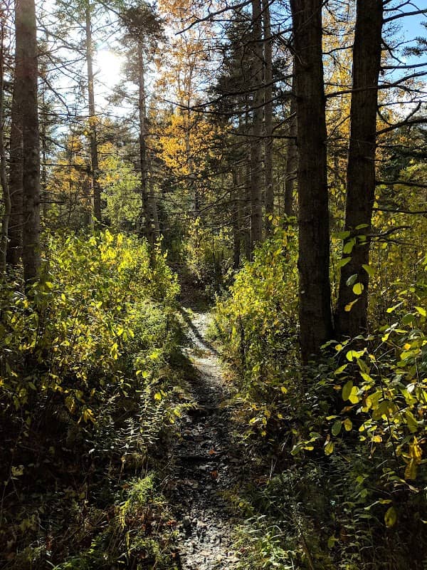 Trail Head for Wolfville Woodland Trail - Image 1