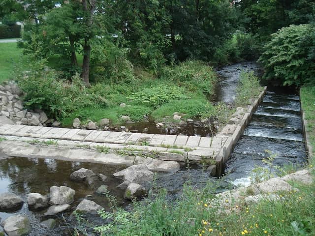 Fischaufstieg im Stadtfeld - Image 1