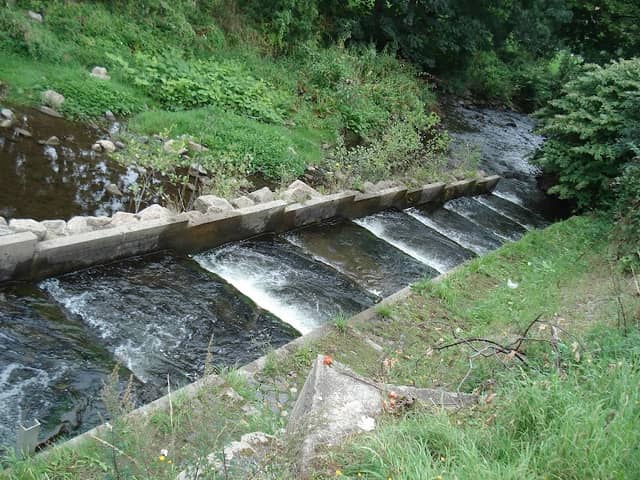 Fischaufstieg im Stadtfeld - Image 2