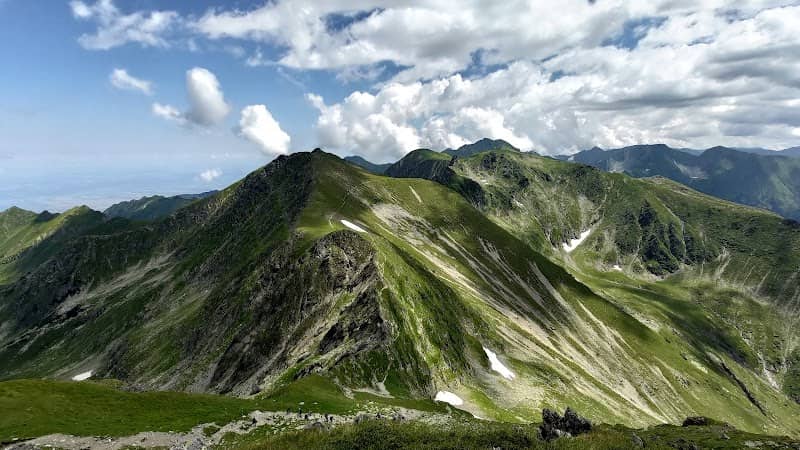 Turnul Paltinului - Image 1