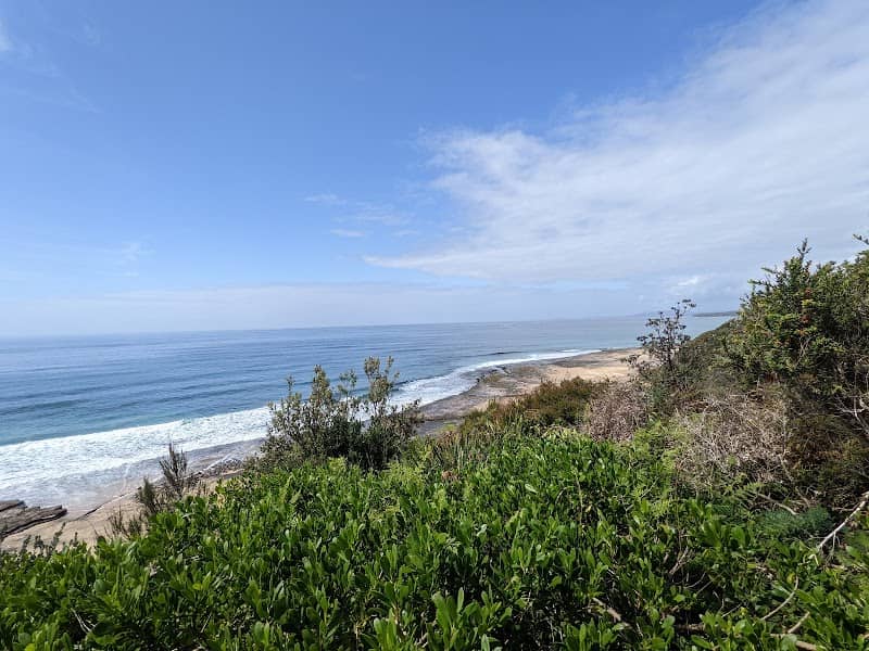 Pacific lookout - Image 2