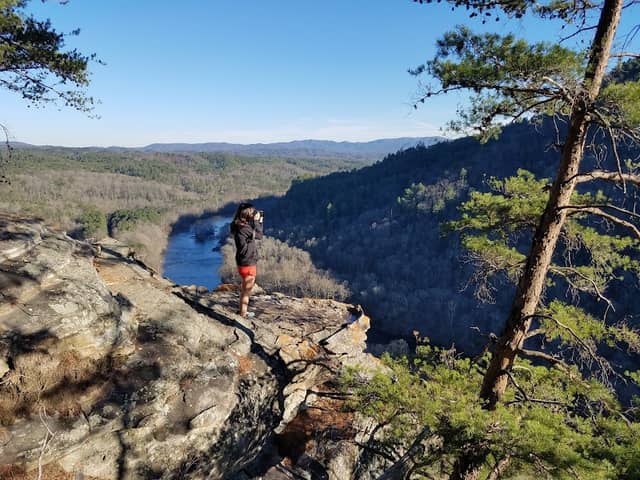 Taylor's Island - Hiwassee River Recreation Area - Image 1