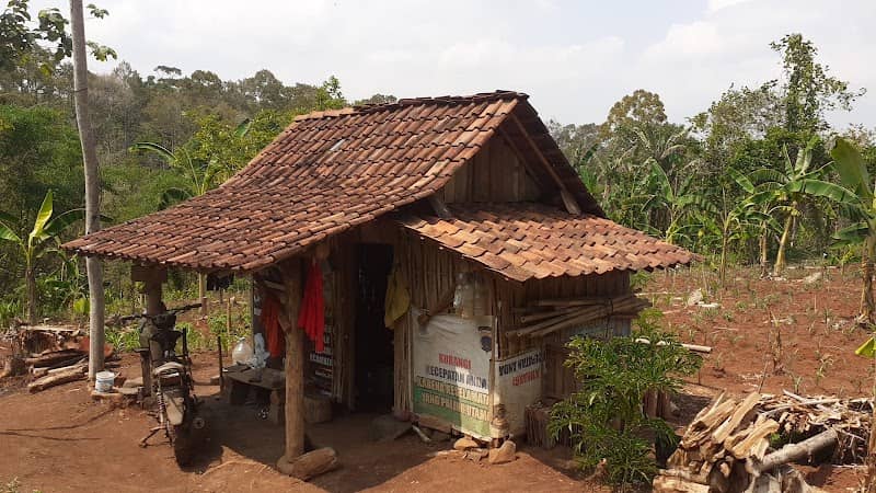 Kebun Durian Mbah Kaemi - Image 2