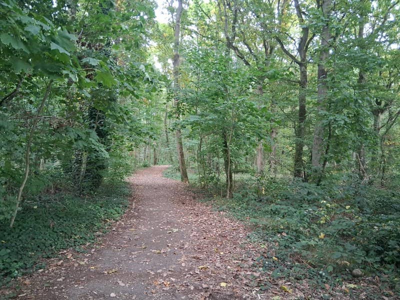 Bois de Maintenon - Image 1