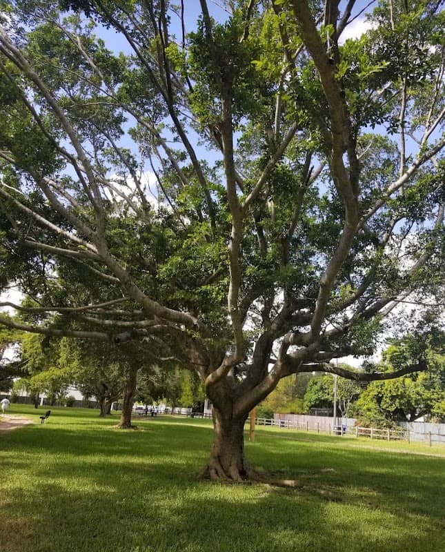 Zinkil Park - Image 2