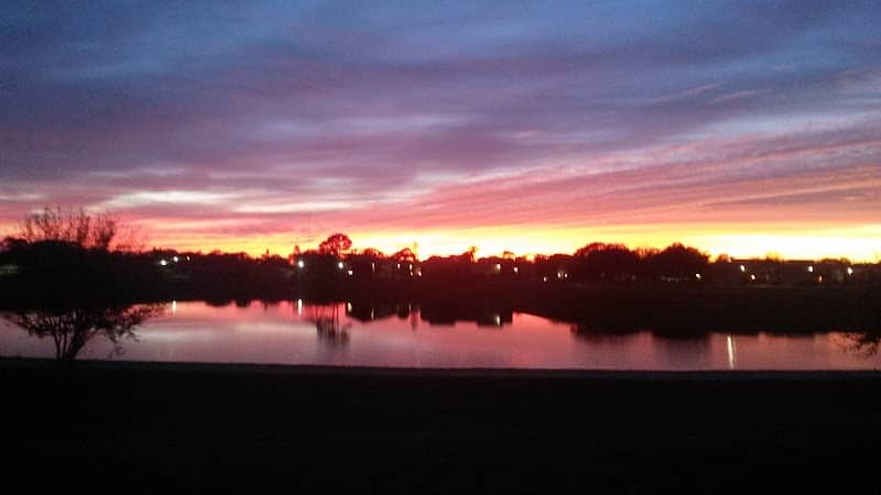 Bracco Pond - Image 2