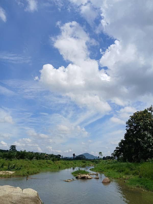 Napaliut - Image 1