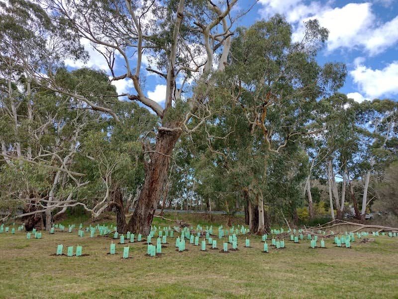 Goyder Reserve - Image 1