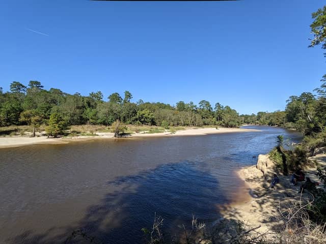 Village Creek State Park - Image 1