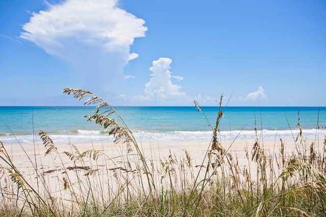 Treasure Coast Sports Commission - Image 2