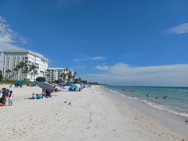 Lowdermilk Park - Image 1
