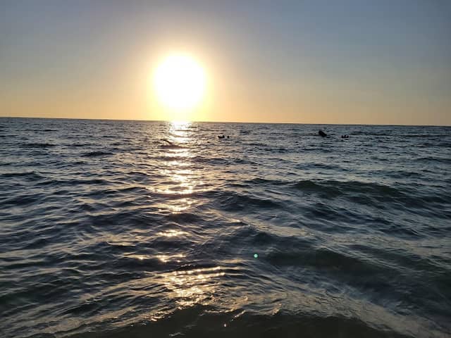 Lowdermilk Park - Image 3