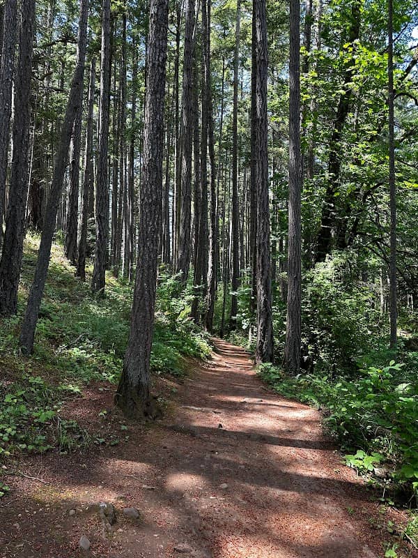 Devonian Regional Park - Image 1