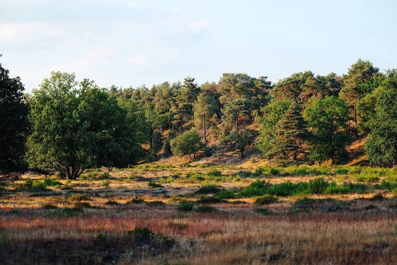 Natuurreservaat Heumense Schans - Image 1