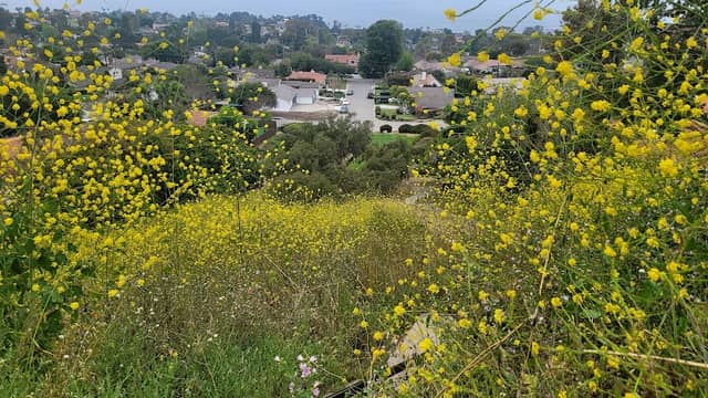 Vía Carrillo Park - Image 1