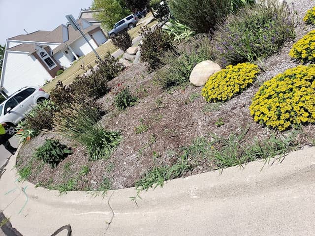 Dexter Community Park - Image 2