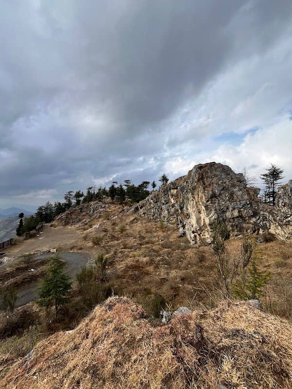 Naldehra Heights Mountain - Image 1