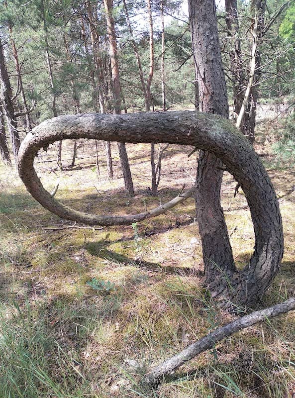 przejazd - Image 1