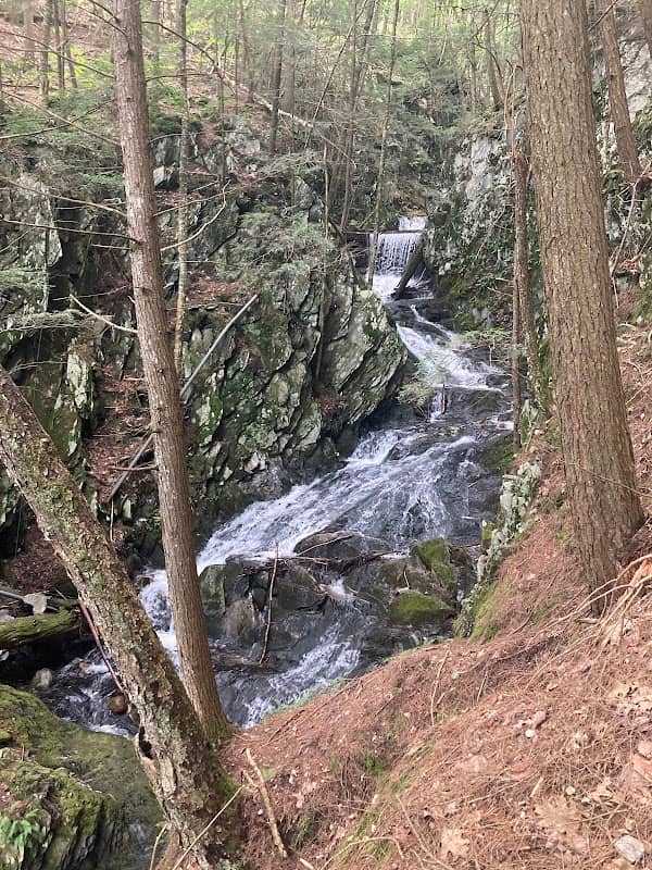 Eagle's Bluff - Image 2