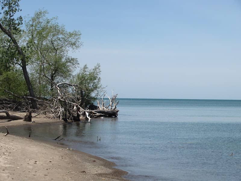 Gull Point Trail - Image 1