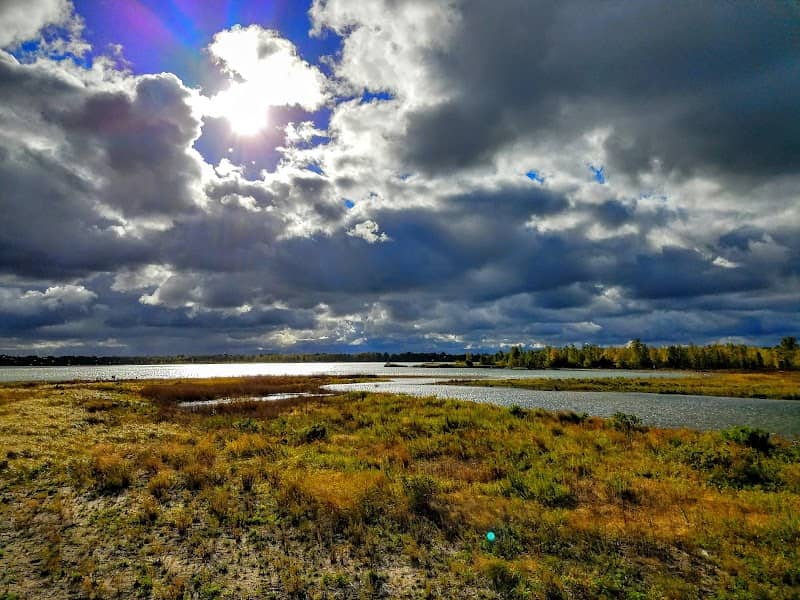Gull Point Trail - Image 3