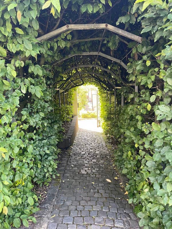 Höxter Botanical Garden - Image 1