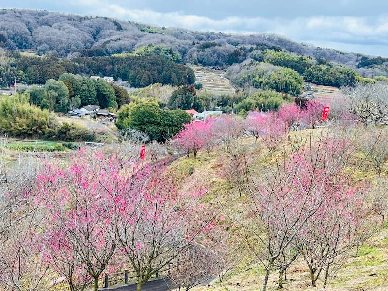 Tsuyamashi Kojiro Umenosato Park - Image 1