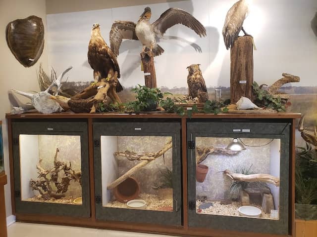 Gulf State Park Nature Center - Image 3