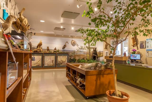 Gulf State Park Nature Center - Image 1