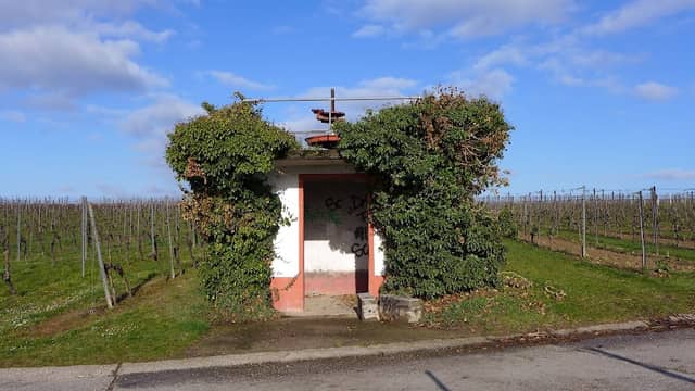 Weinbergshäuschen „Efeu-Haus“ - Image 1