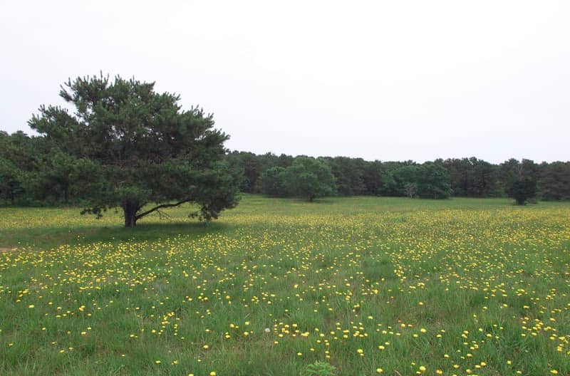 Hoft Farm Preserve - Image 2