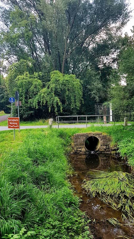 Springbach- Mündung - Image 1