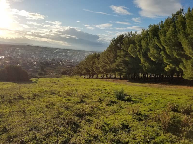Pineta di Maracalagonis - Image 1