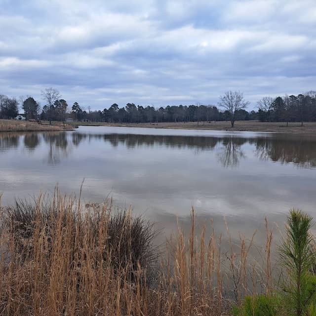 Weems Hill - Image 1