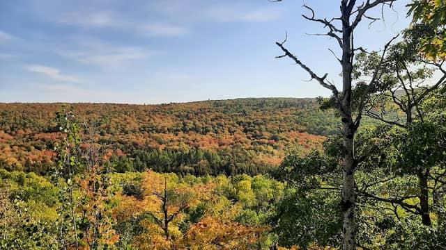Brockway Mountain Wildlife Sanctuary - Image 1