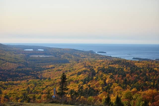 Brockway Mountain Wildlife Sanctuary - Image 3