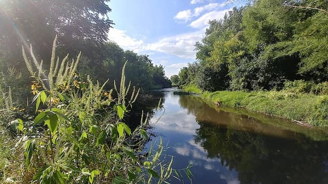 Jericho Lake Park - Image 2