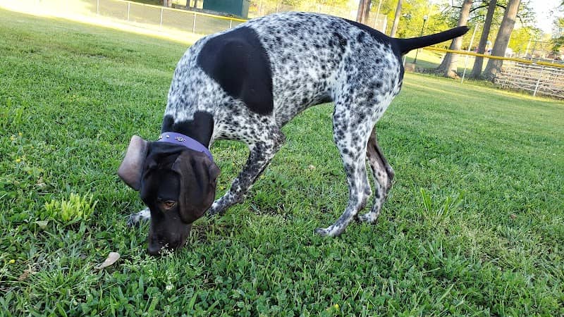 Booneville City Park - Image 1
