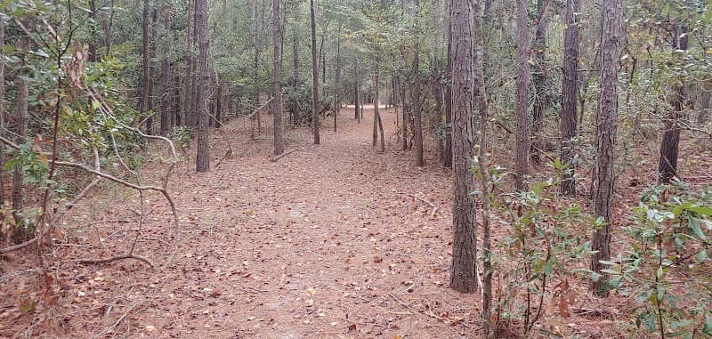 Blue Heron Park - Image 2